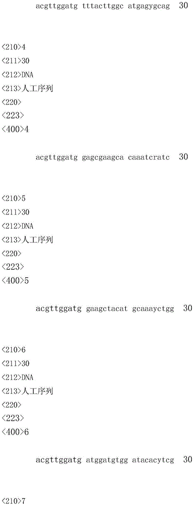 High-sensitivity method used for detecting and identifying human coronavirus