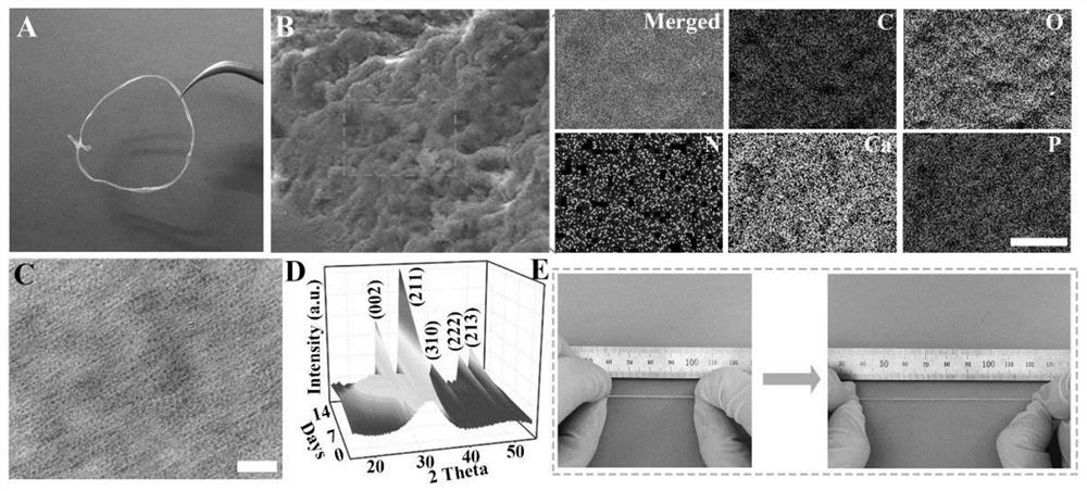 A kind of small size calcium phosphate fiber and its preparation method and application