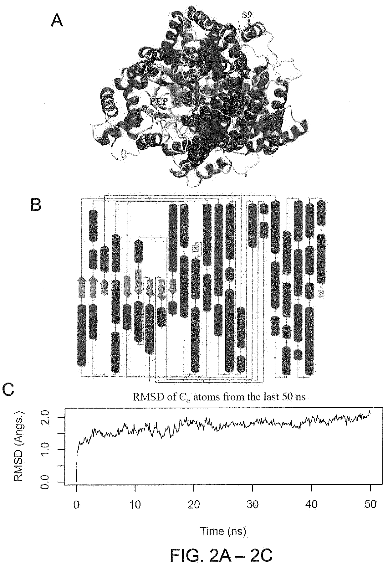 Genes for enhancing salt and drought tolerance in plants and methods of use