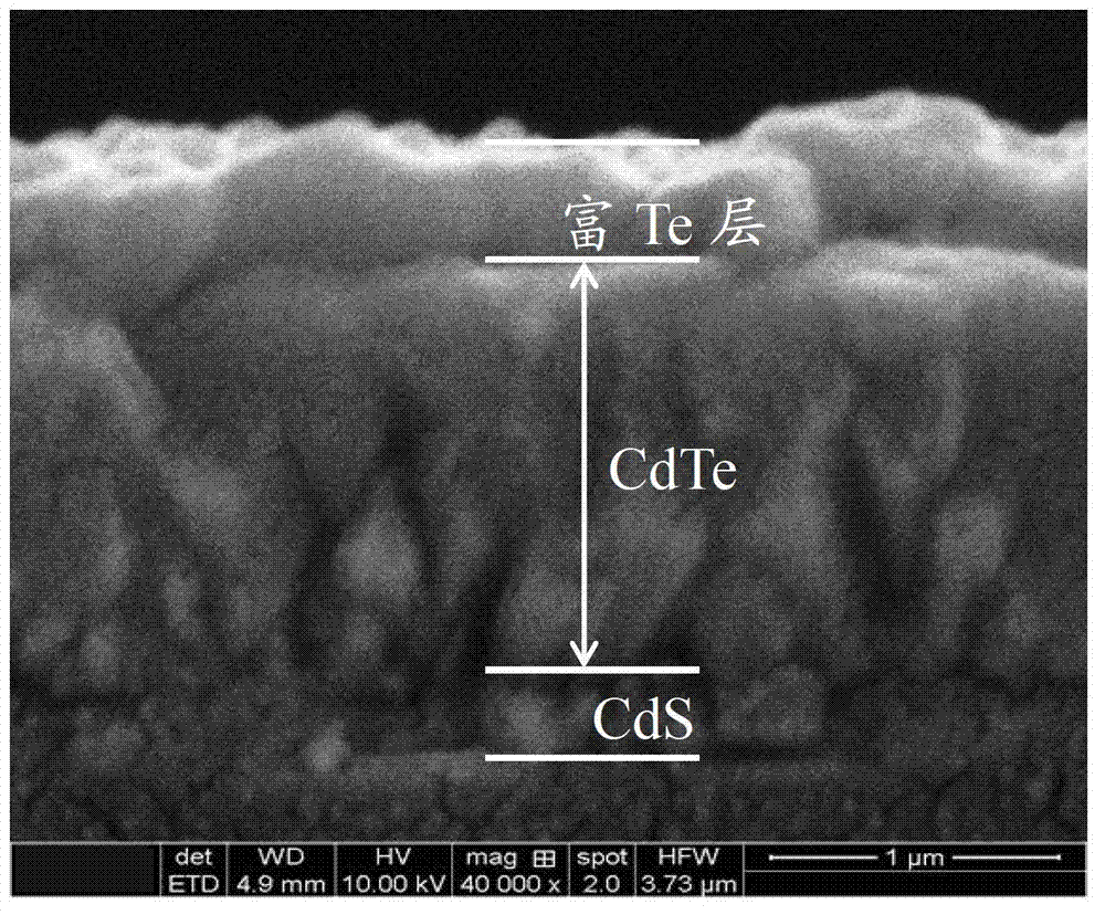 Method for preparing cadmium telluride thin-film solar cell