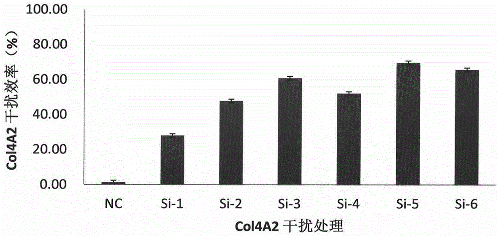 Triple negative breast cancer marker COL4A2 and application thereof