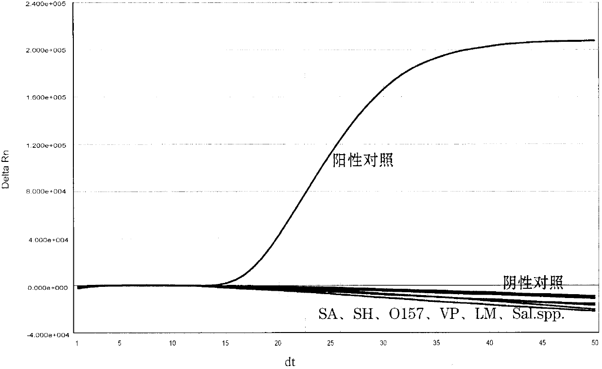 Simultaneous amplification and testing reagent kit for VC (vibrio cholerae)