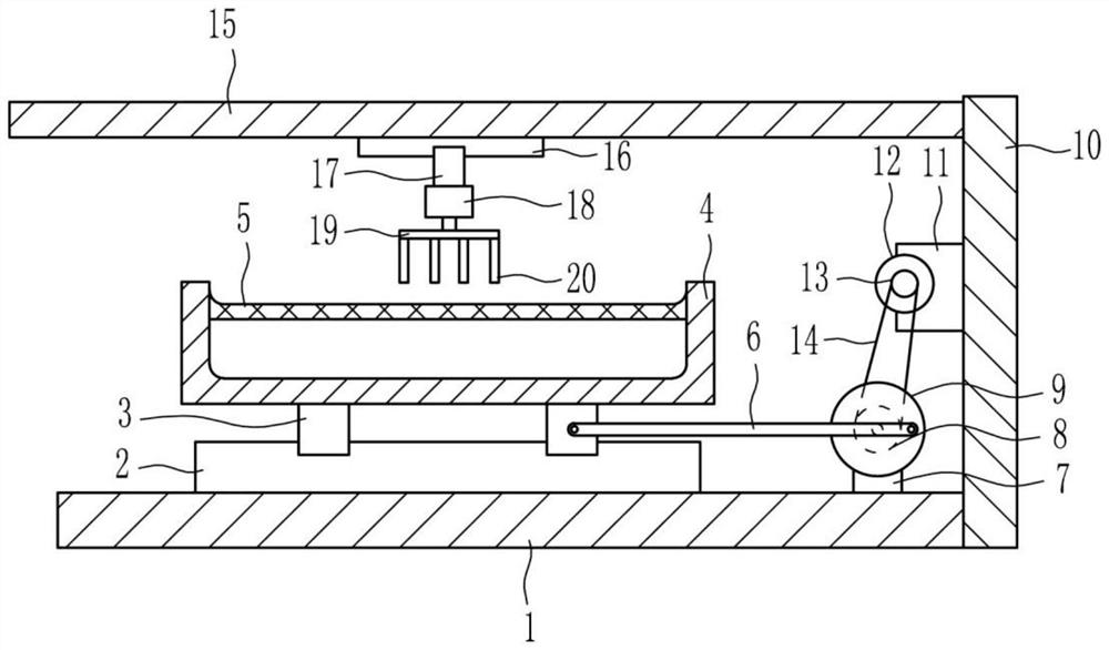 A special screening device for camellia seeds