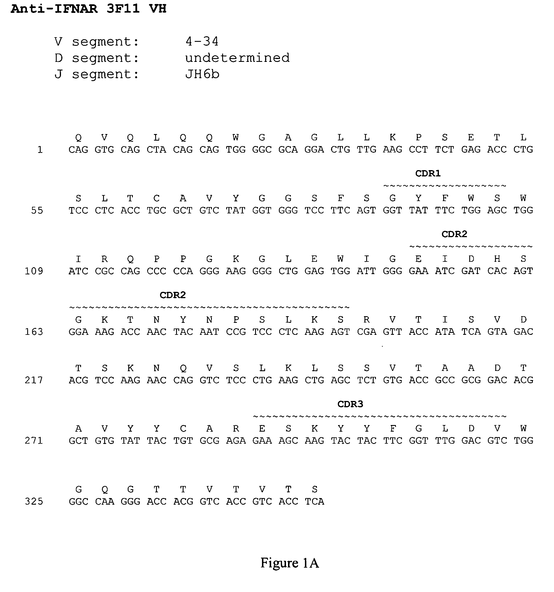 Interferon alpha receptor 1 antibodies and their uses