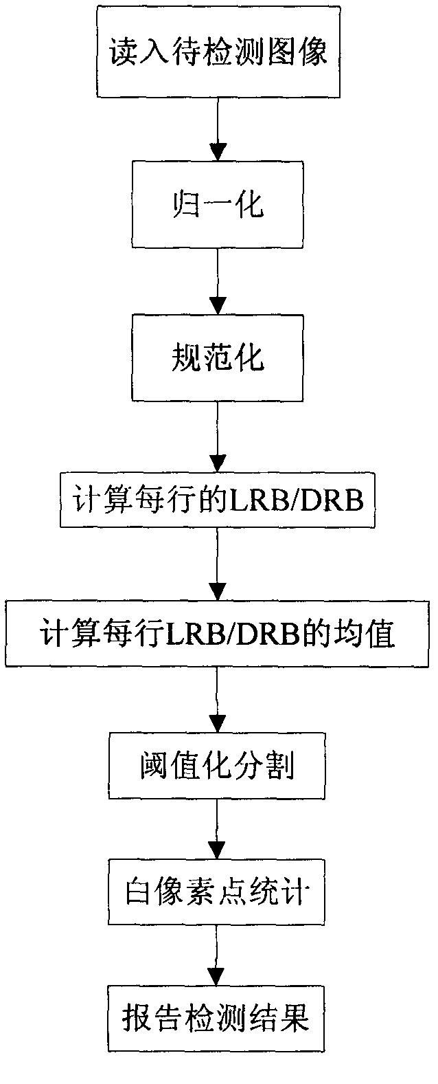 Fault on-line detection method of steel wire rope conveyer belt based on texture regularity analysis