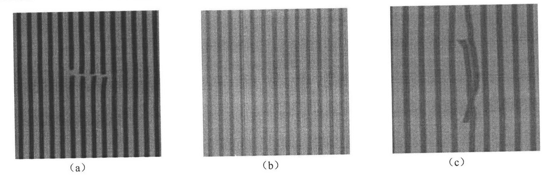 Fault on-line detection method of steel wire rope conveyer belt based on texture regularity analysis