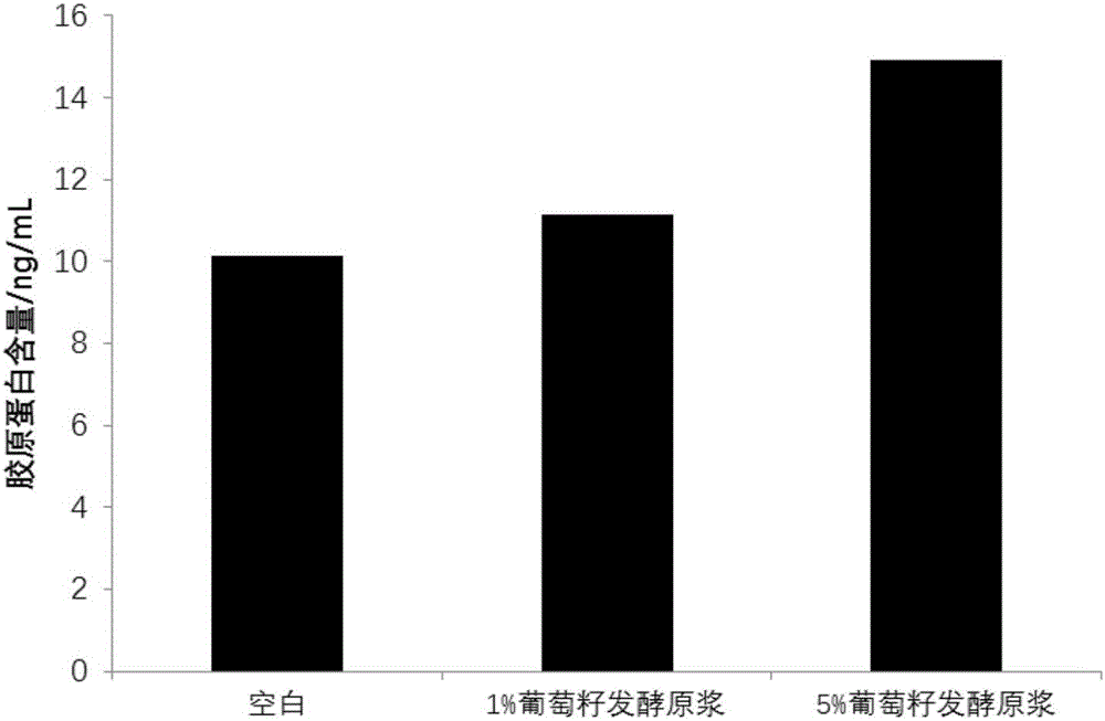 Grape pip fermented raw stock cosmetic as well as preparation method and application thereof