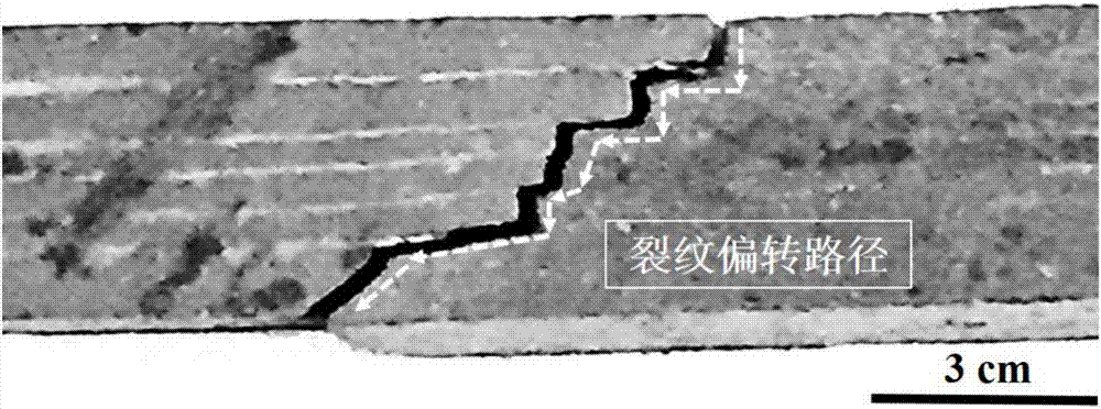 Laminar Ti/B4C composite material and preparation method thereof