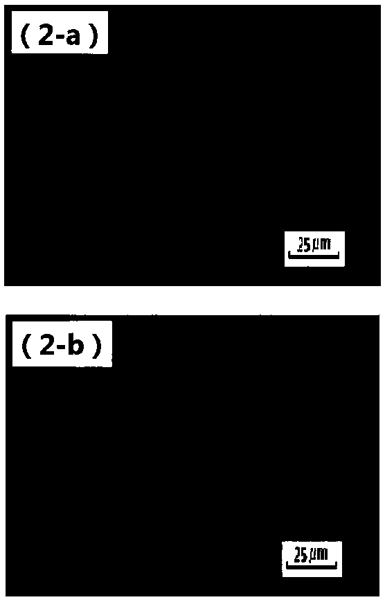 Surface strengthening treatment method for metal material through coupling electroplastic effect and ultrasonic rolling