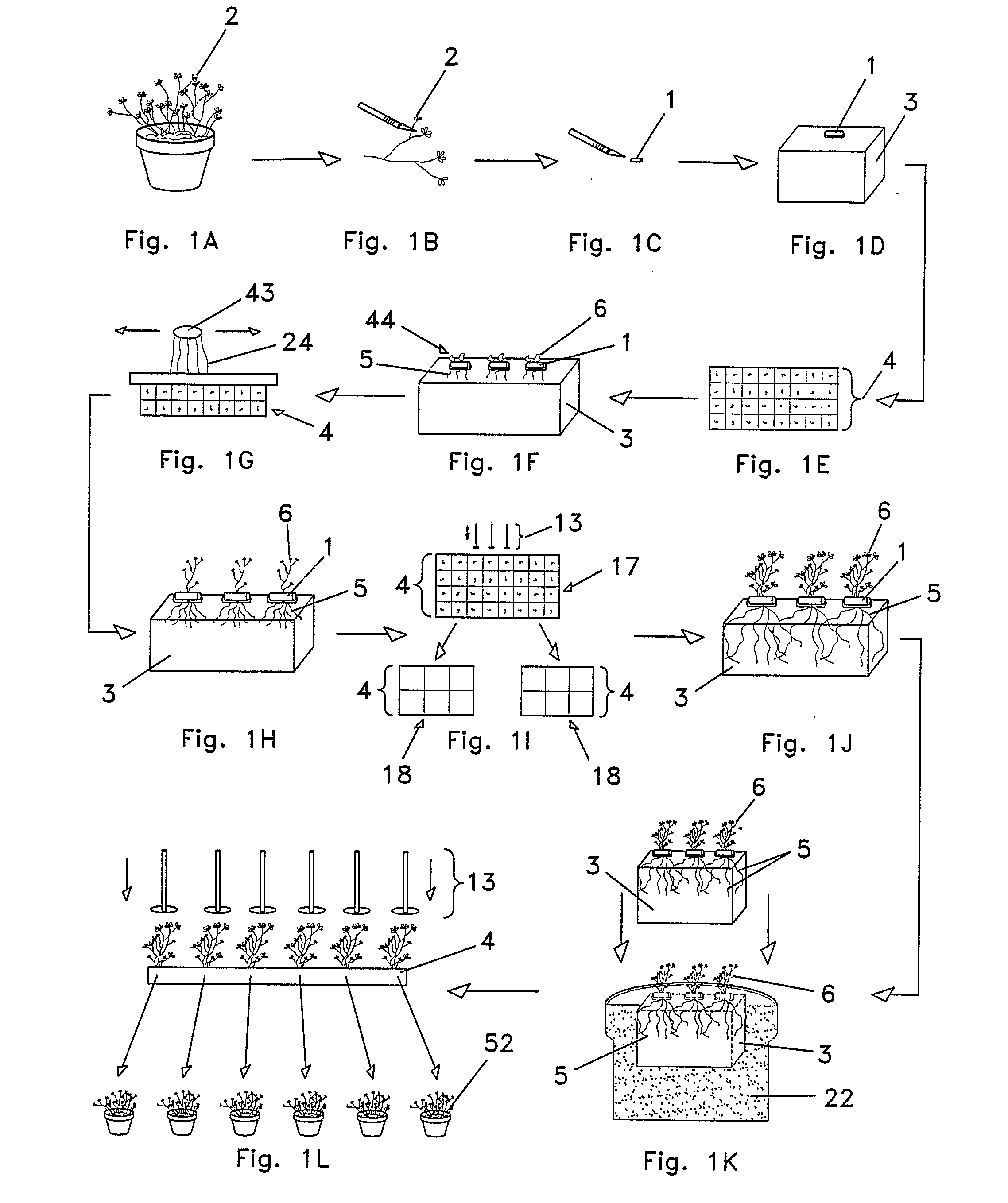 Cellular tissue culture systems for high-volume processing