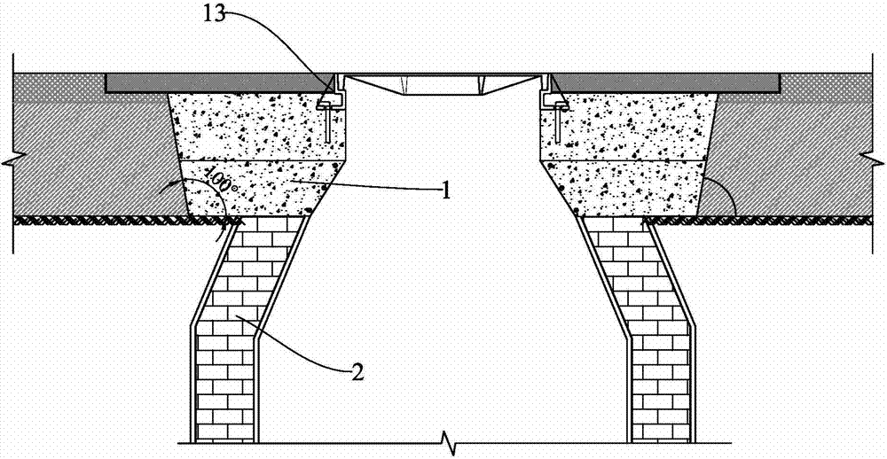 Rapid disposal method for diseases near road manhole