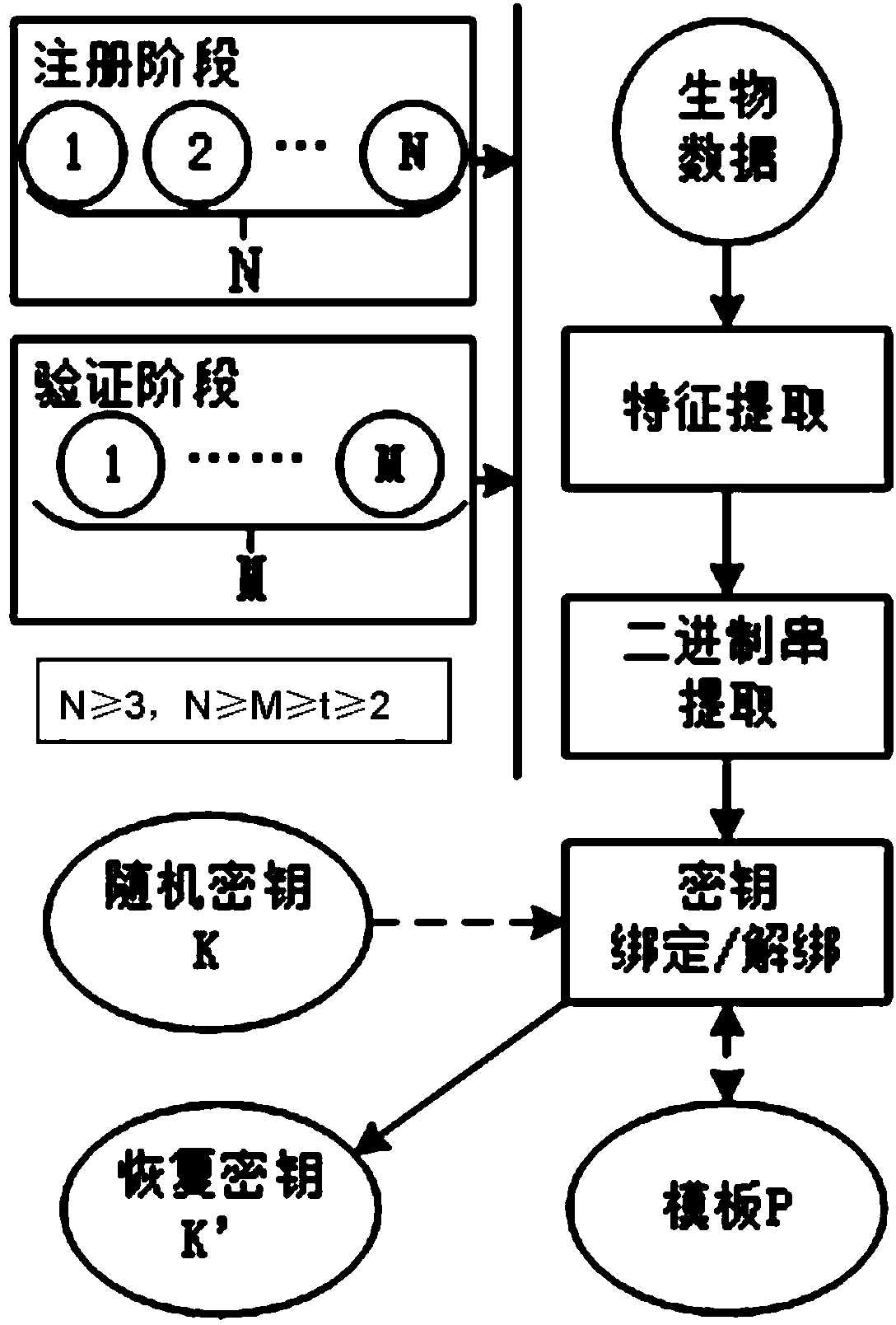 Secret key generation method based on multi-modal biological characteristics