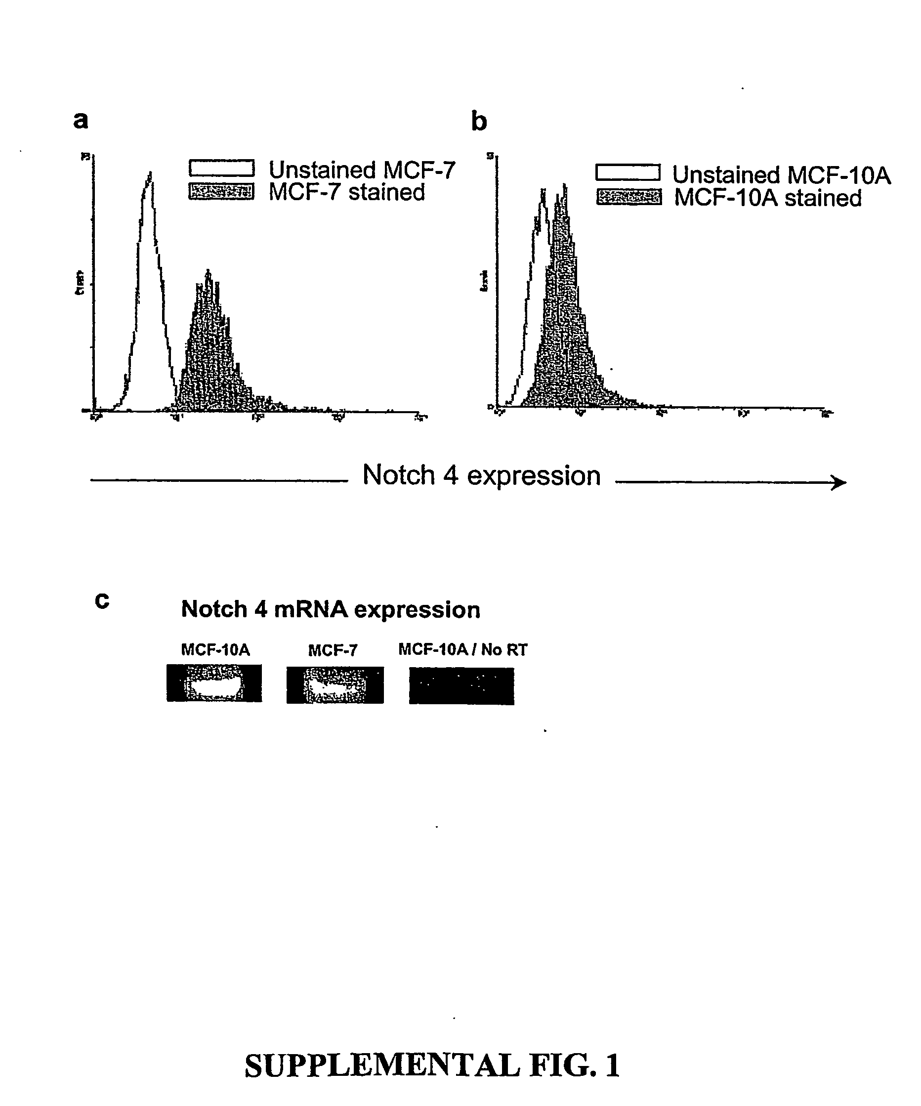 Prospective identification and characterization of breast cancer stem cells