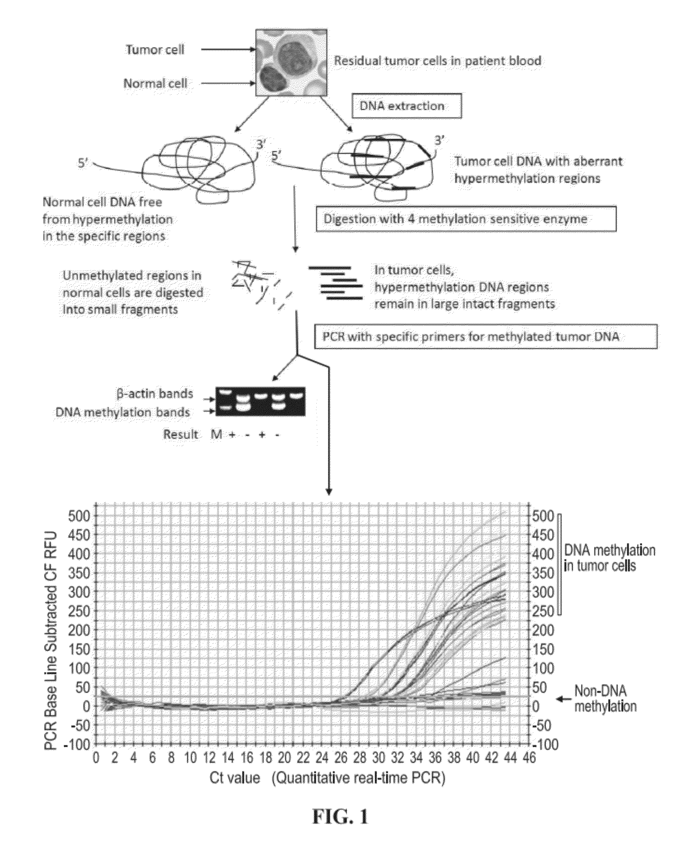 Methods for detecting rare circulating cancer cells using DNA methylation biomarkers