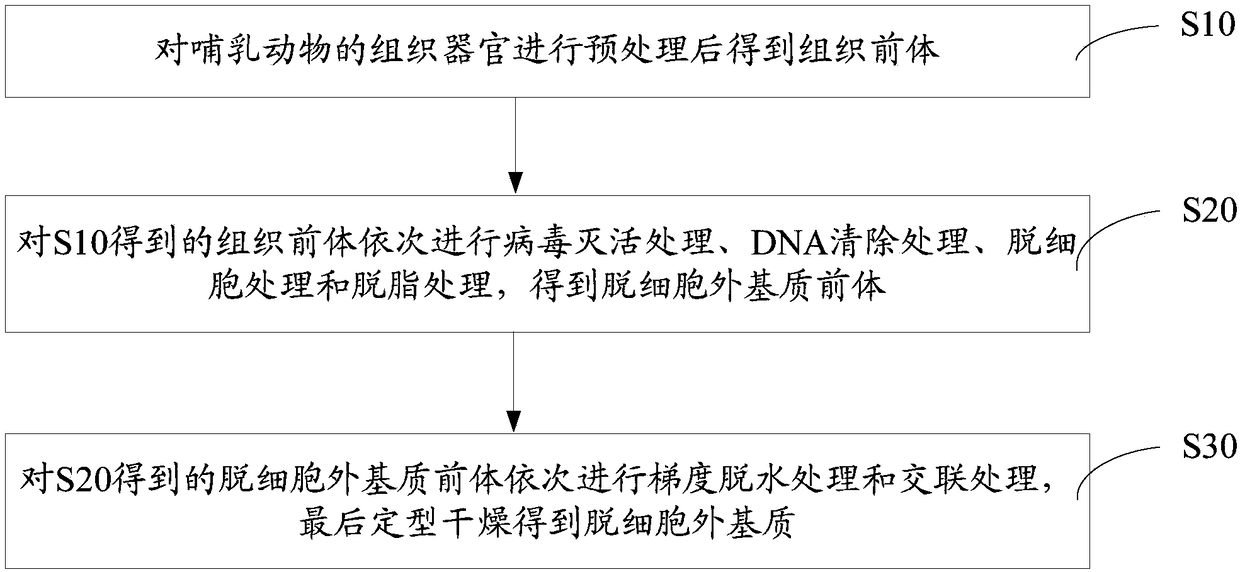 Accellular epimatrix and preparation method and application thereof