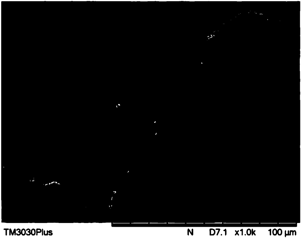 Accellular epimatrix and preparation method and application thereof