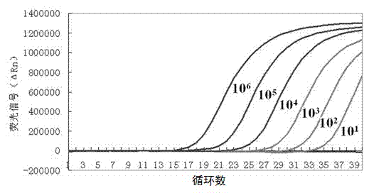 Composition, kit and method for detecting group A rotavirus