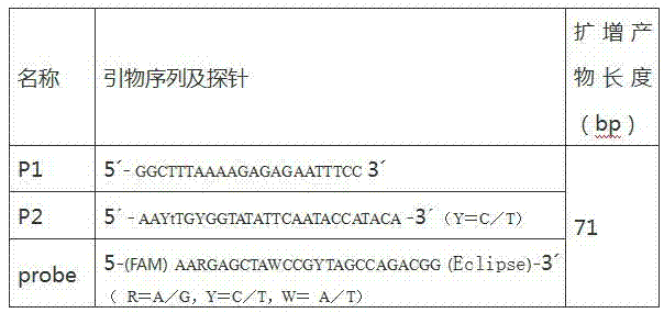 Composition, kit and method for detecting group A rotavirus