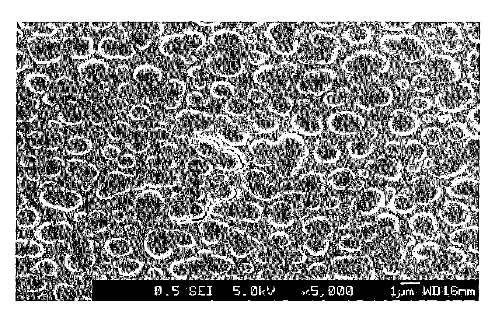 Electrode, lithium battery having the electrode, and method of manufacturing the same