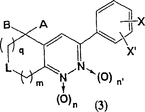 3-phenyl-cinnoline homologue and antitumor agent containing the same