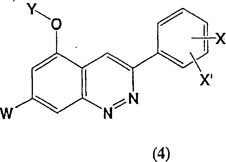 3-phenyl-cinnoline homologue and antitumor agent containing the same