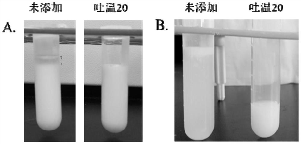 A method for enzymatic inclusion of tributyrin