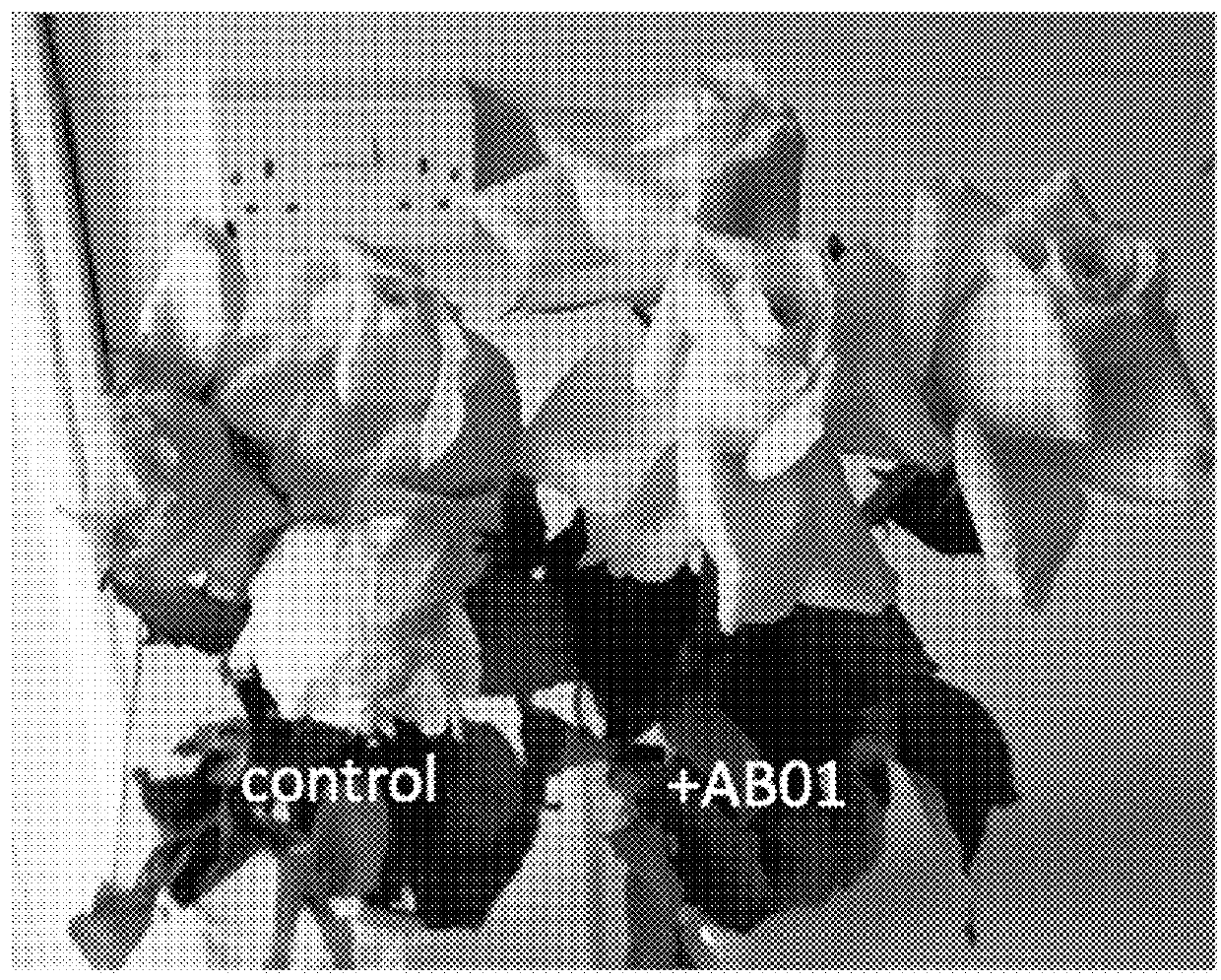 Strigolactone formulations and uses thereof