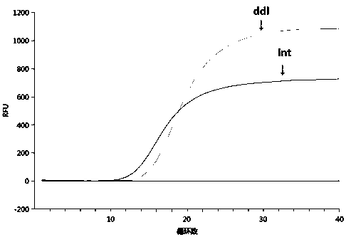 Primer and/or probe composition for detecting cocci causing bloodstream infections and application of primer and/or probe composition