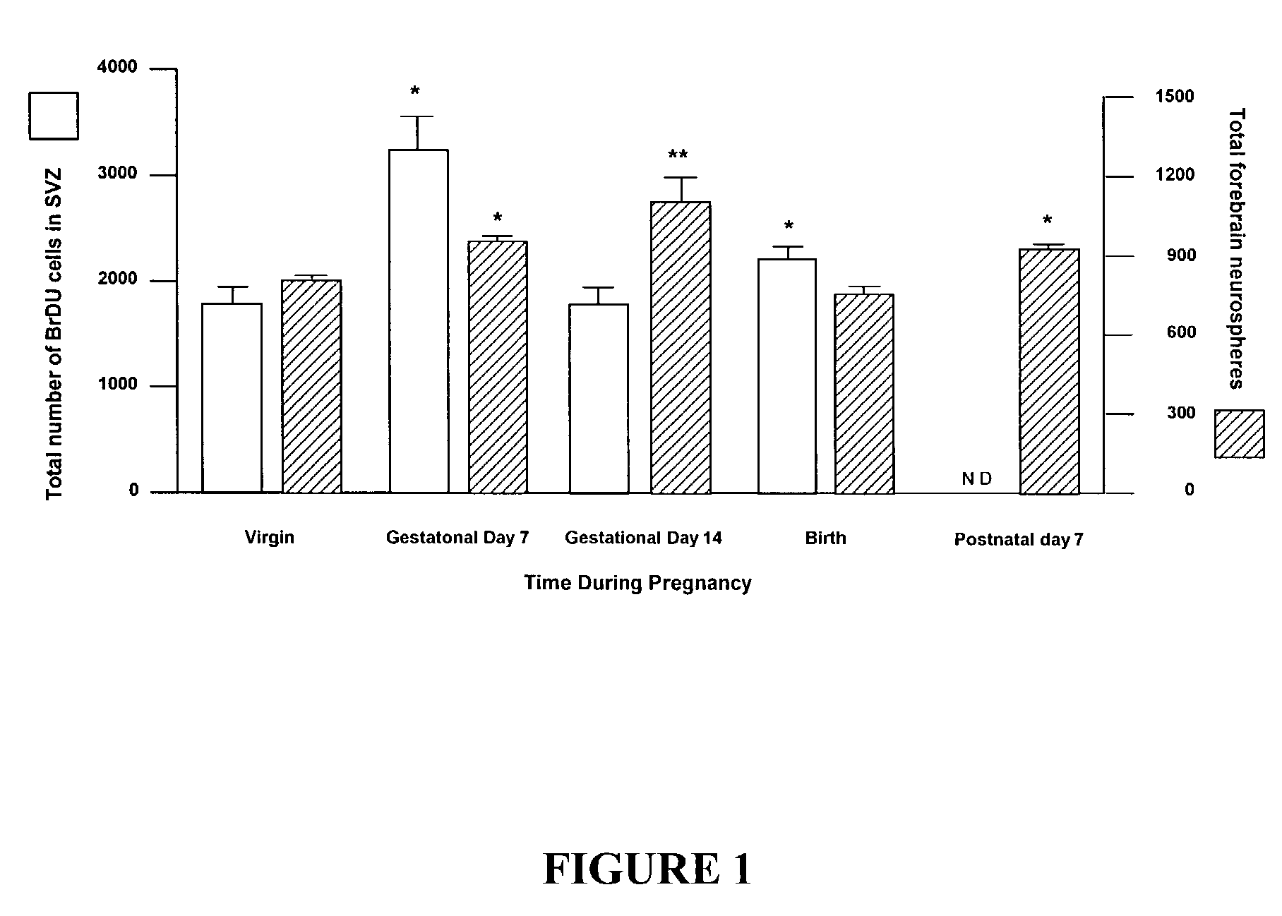 Prolactin induced increase in neural stem cell numbers