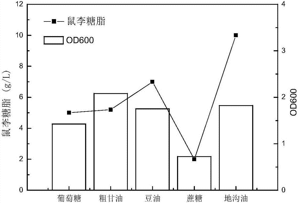 Rhamnolipid high-yielding bacterial strain, and applications thereof