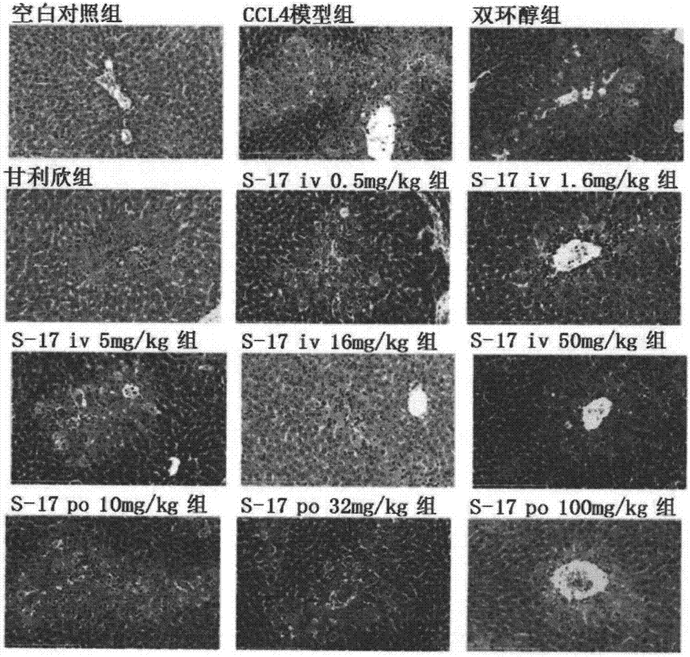 Bicyclol-based derivative, preparation and applications thereof