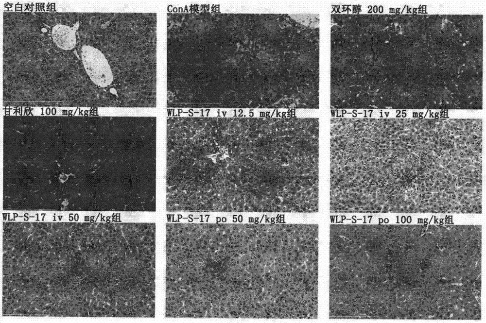 Bicyclol-based derivative, preparation and applications thereof