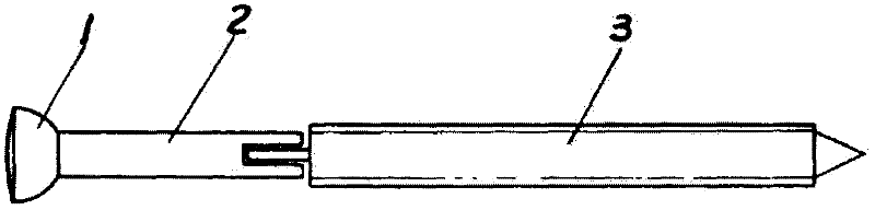 Medical jiggle lag screw for medicine