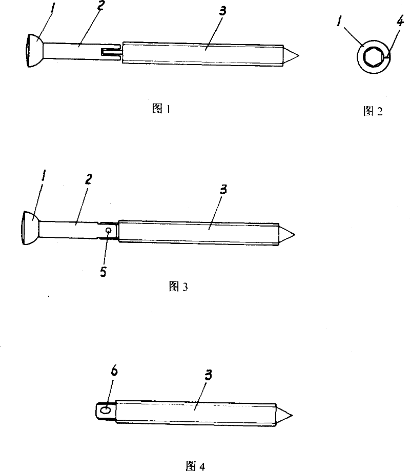 Medical jiggle lag screw for medicine