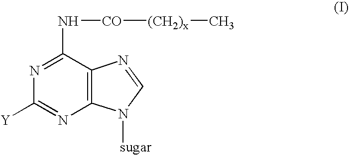 Process for the preparation of 9-beta-anomeric nucleoside analogs