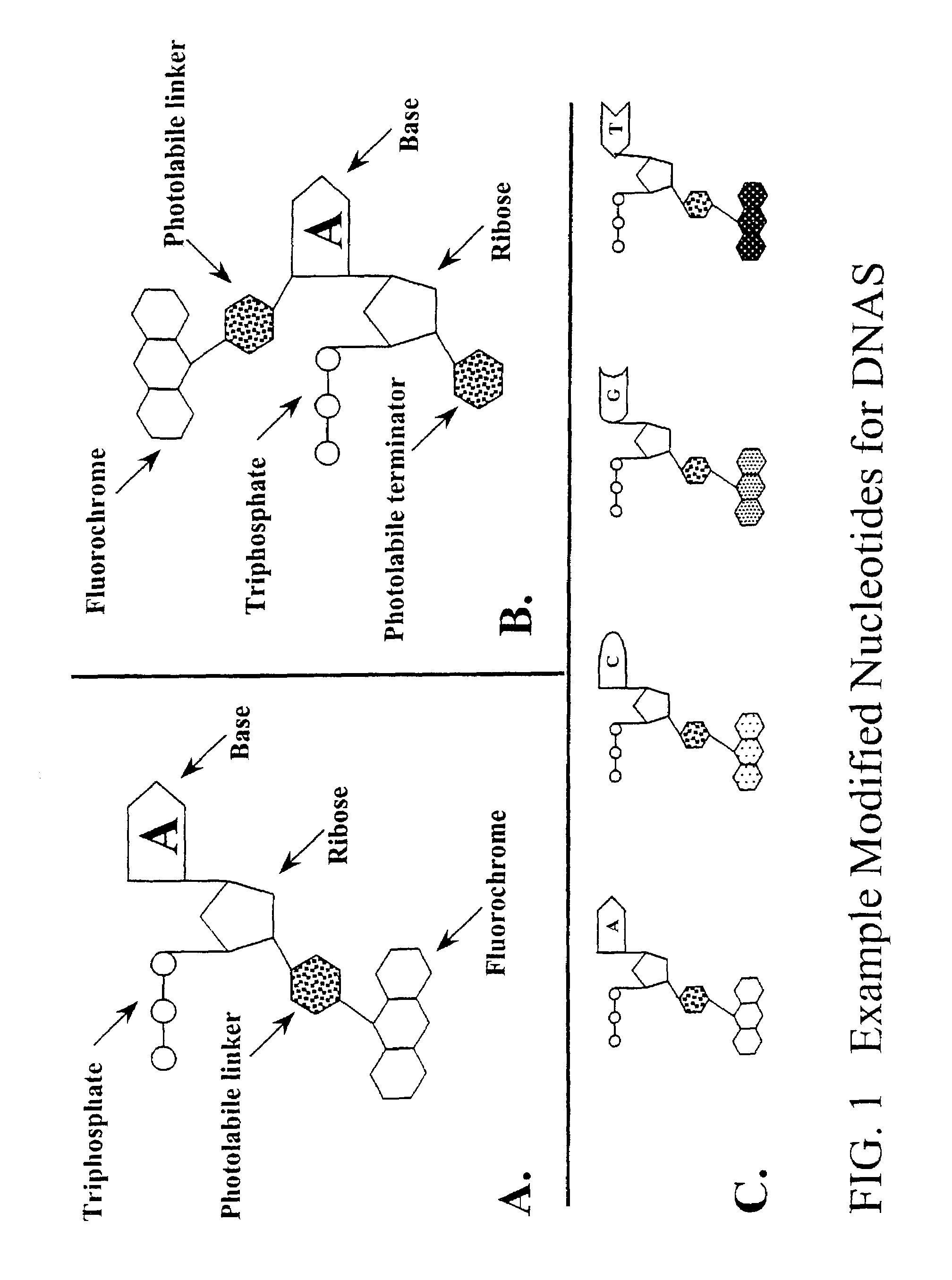 Method for direct nucleic acid sequencing