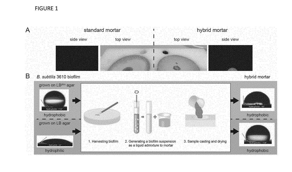 Engineered hybrid cement-based composition with increased wetting resistance