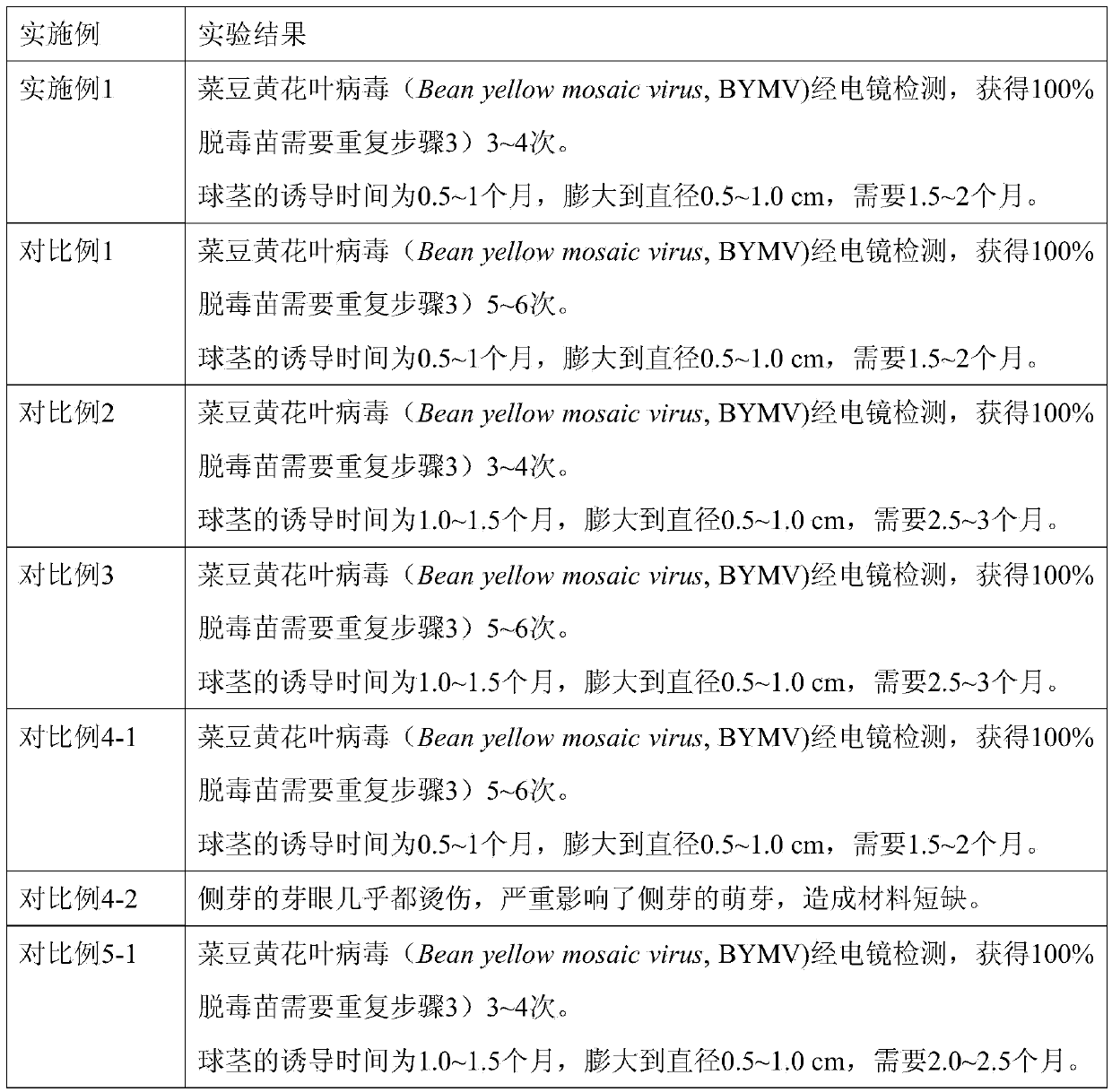 Culture method of virus-free test-tube corm of Fanhong No.1 crocus sativus l