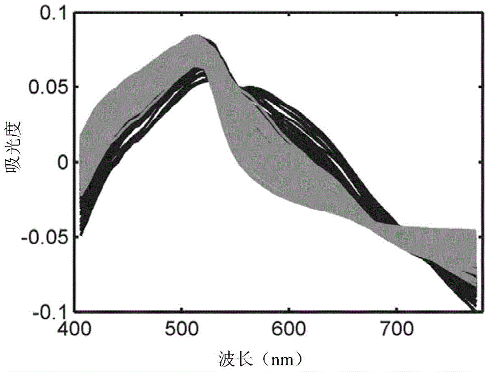 Method for identifying corn haploid