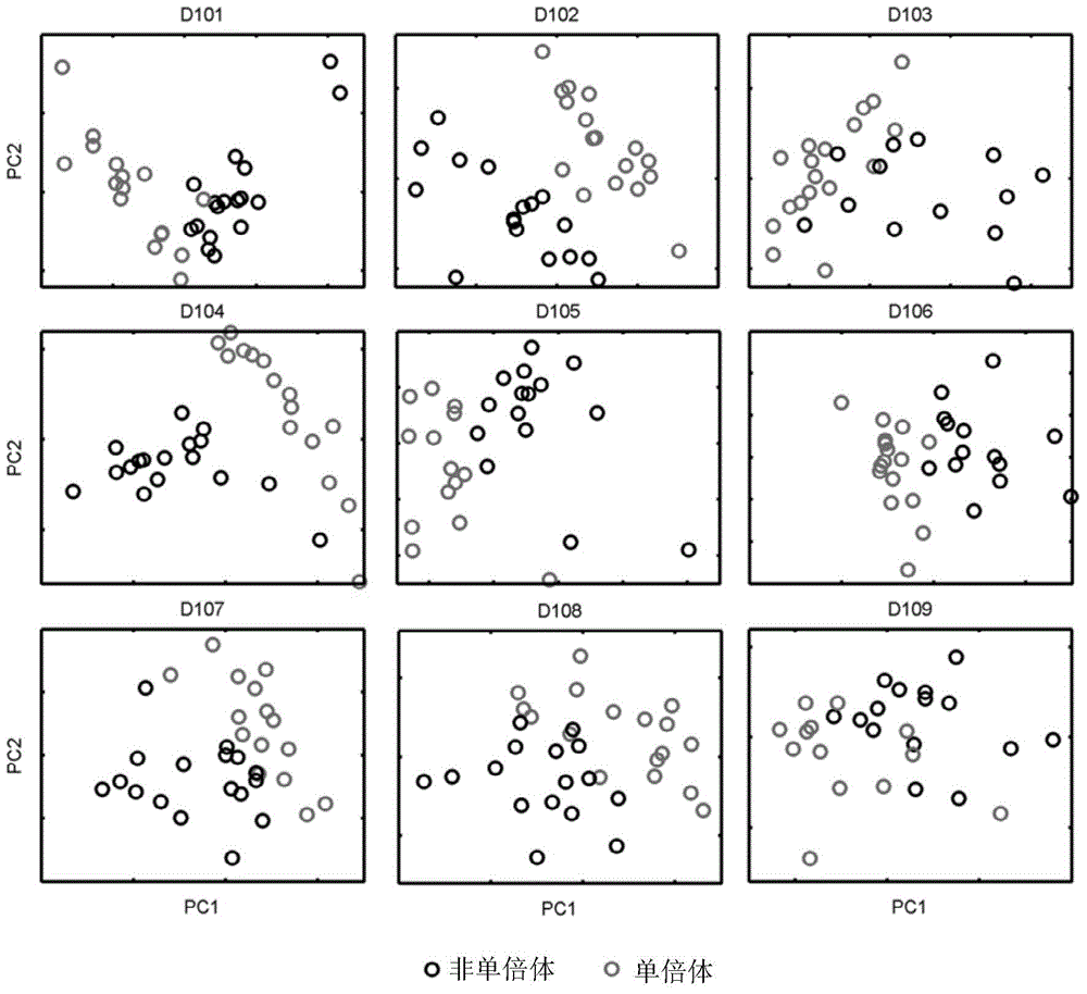 Method for identifying corn haploid