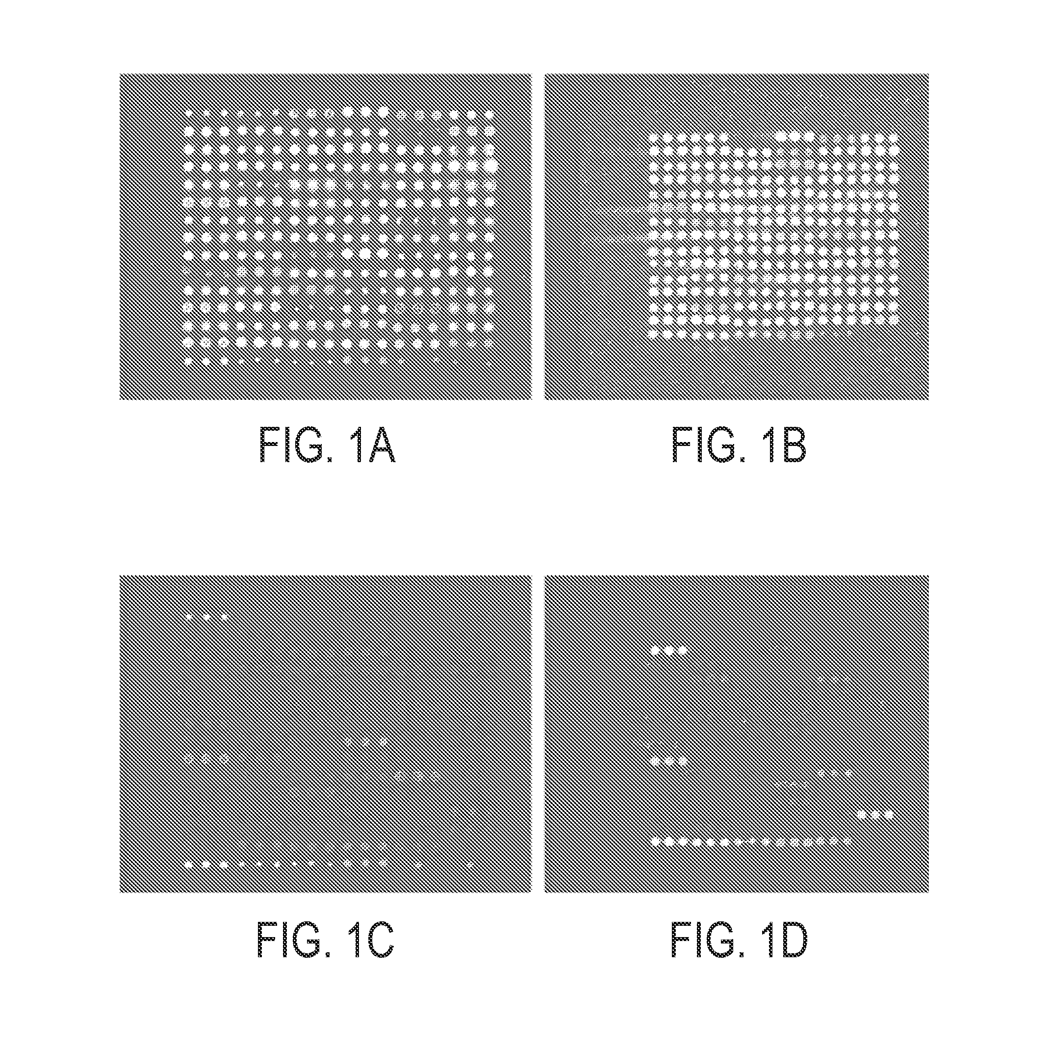 Methods for measuring glycan levels of proteins