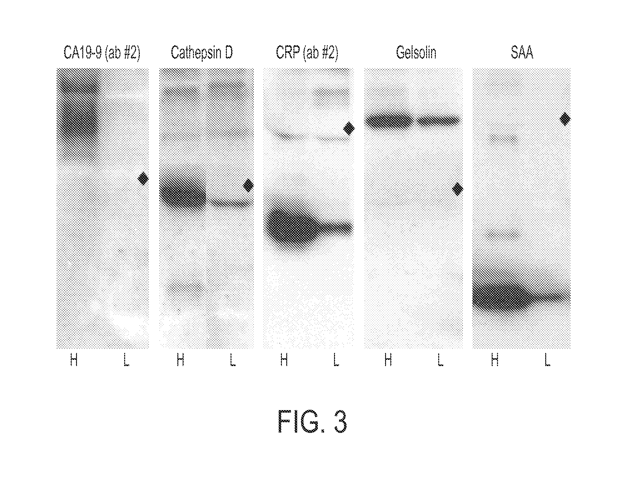 Methods for measuring glycan levels of proteins