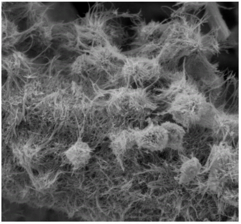 Active carbon/nickel cobaltate nano wire composite electrode material and preparation method thereof