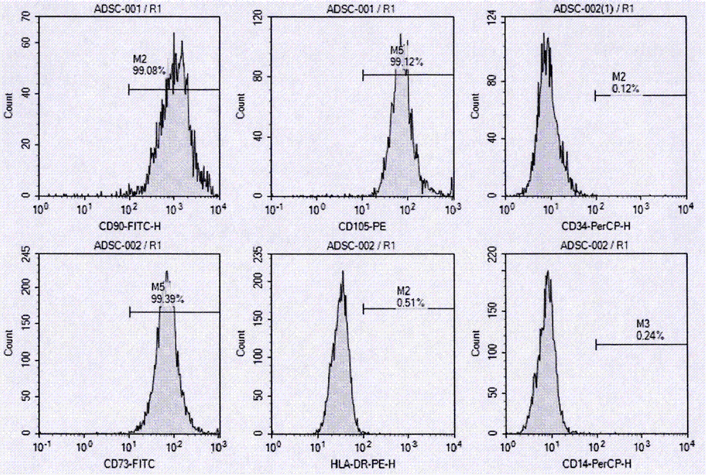 Method and kit for efficiently promoting adipose-derived stem cells to proliferate