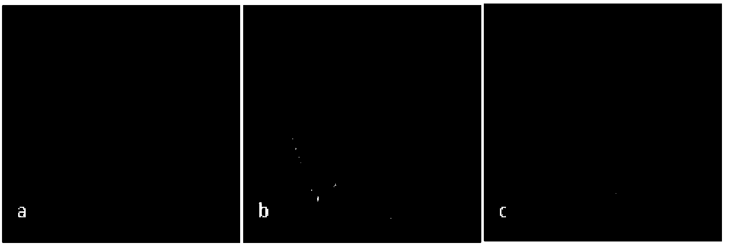 Specific Molecular Markers of Chromosomes of Trichophyllum 4vs Against Wheat Yellow Mosaic Virus