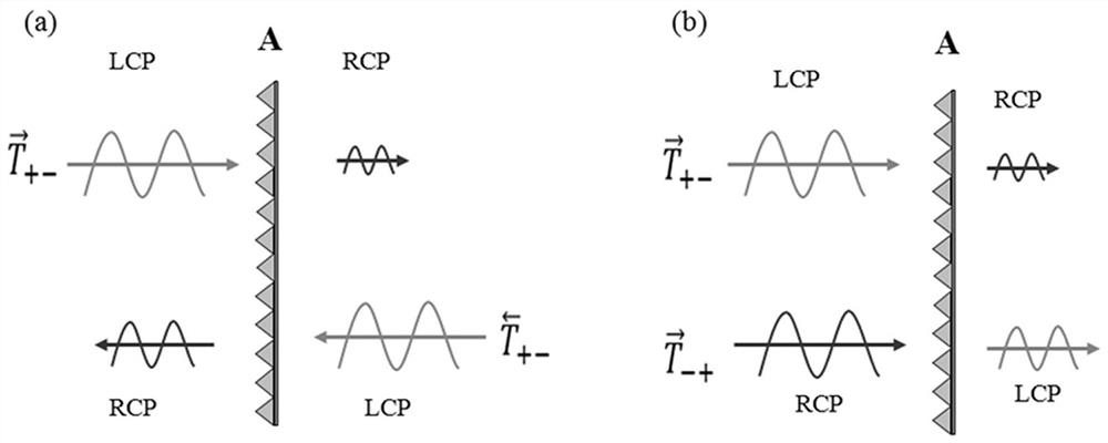 An optical polarizer capable of dynamically adjusting asymmetric transmission signals and its application method