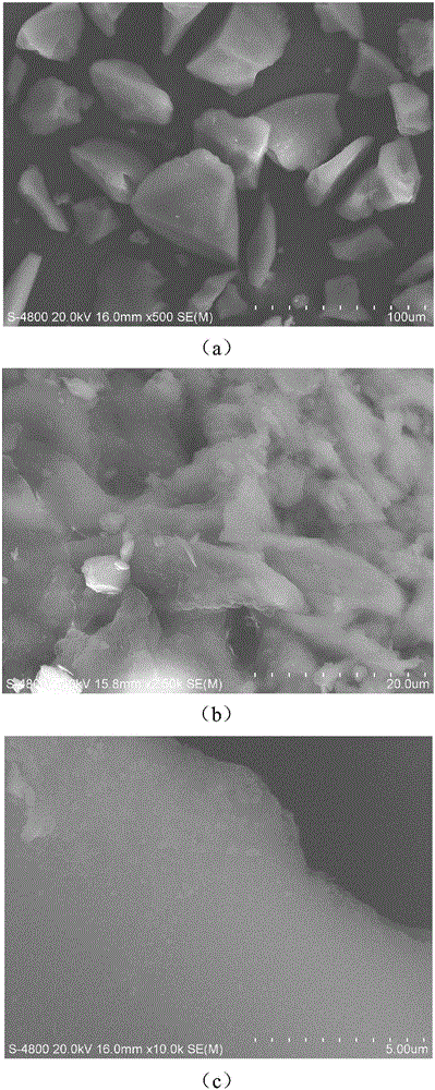 Preparation method and application of high-efficiency flocculation algae-removal material with environmental adaptation characteristics