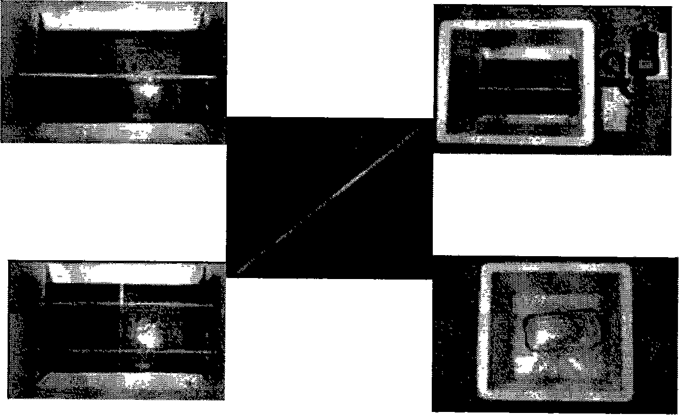 Culture-medium of pig semen and method for processing pig semen