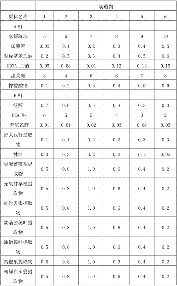 Water balancing translucent patting pearl toner and preparation method thereof