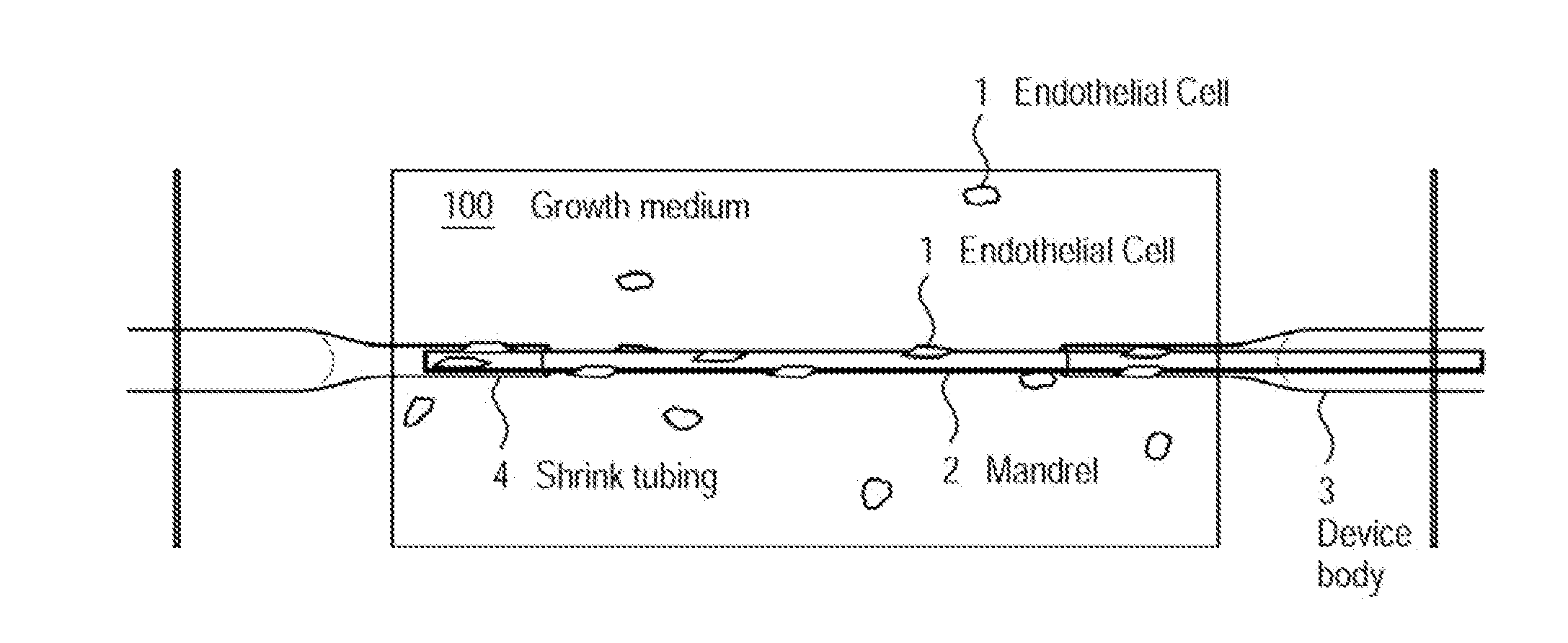 Method for creating perfusable microvessel systems